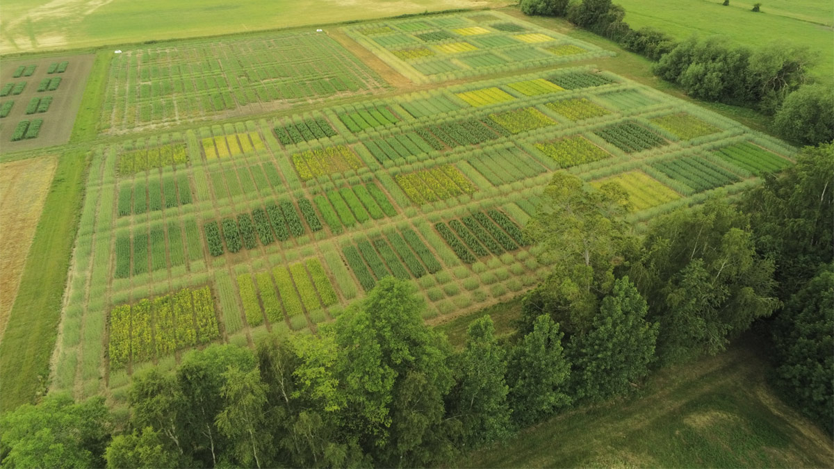 Aerial view of a neatly ploughed field that resembles a patchwork quilt.