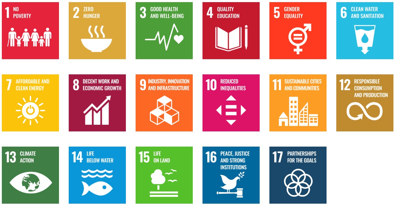 The 17 UN Sustainable Development Goals 