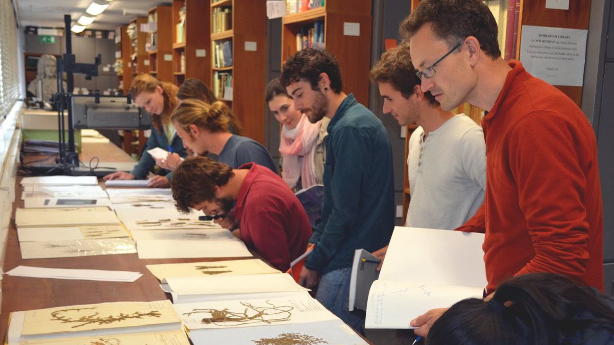 Students looking at pressed flowers in the herbarium