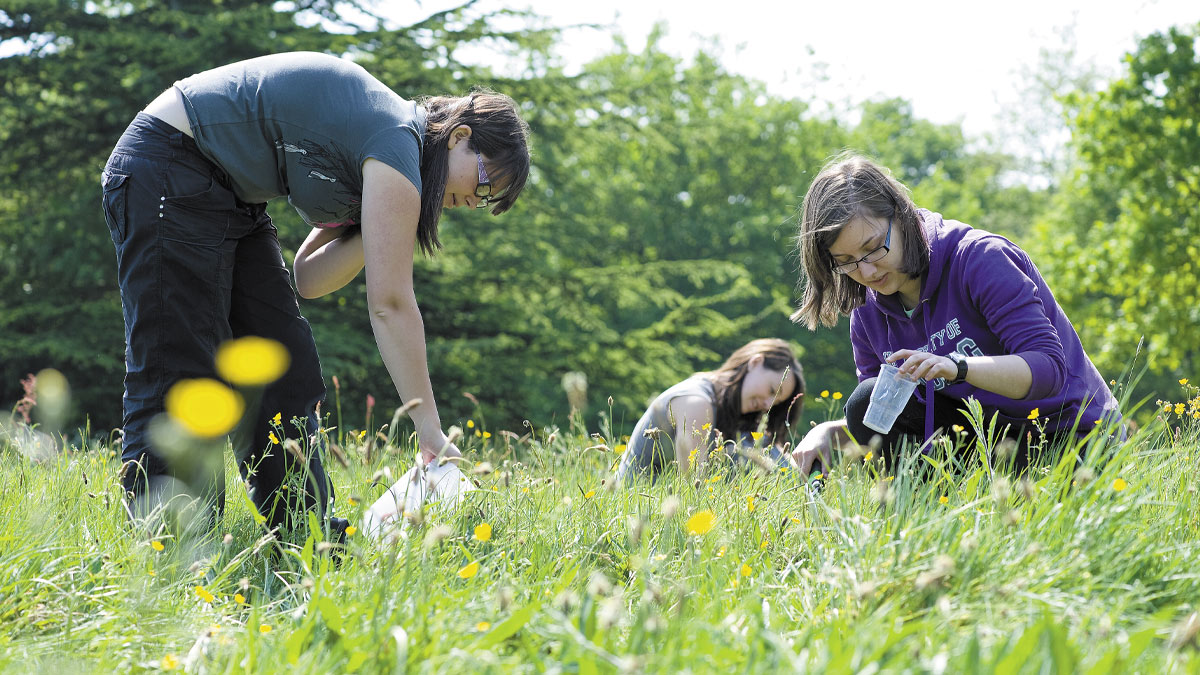Three students carrying out field work in a meadow