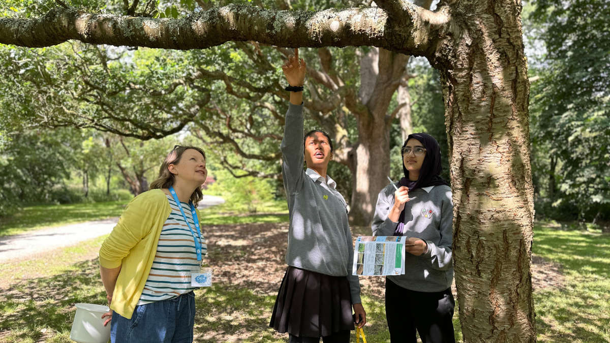 Continuing Professional Development, teacher with two secondary school children learning outside in a wood.