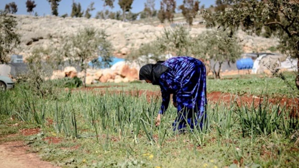 Middle East - field work - Walker Institute